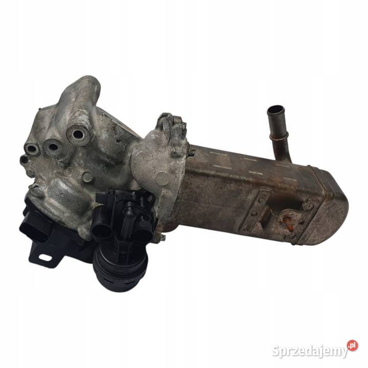 CHŁODNICA SPALIN EGR Ford Kuga S 20 TDCI