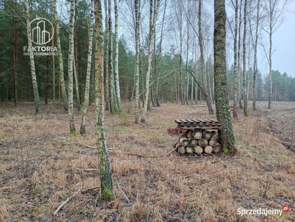 Działka Tarnopol Mostki 960m2 Bołtryki