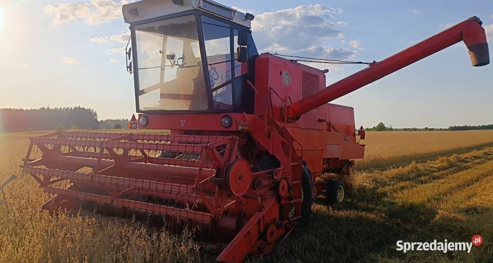 Sprzeda Bizon ZO56 Siucice