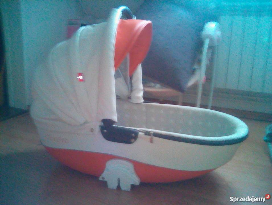 Tutek torero ecoskora mazowieckie Ciechanów