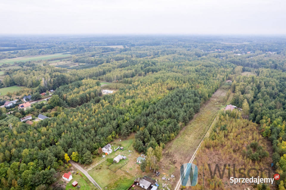 Grunt 133548m2 Nowa Bukówka Gajowa woda Sprzedaż