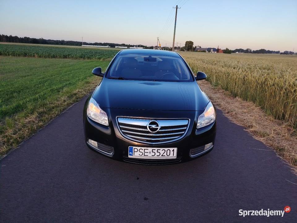 Opel Insignia 20 130 2010 lakier metallic Charłub