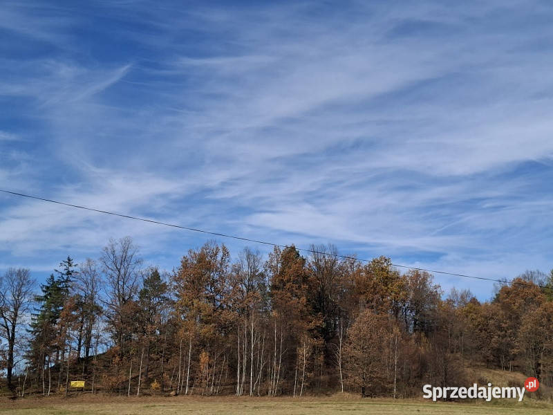 sprzedam dużą działkę rolną w Głębock