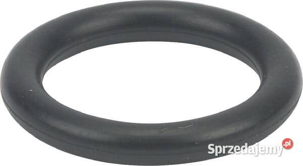Pierścień uszczelniający oring 699725 Kamionna