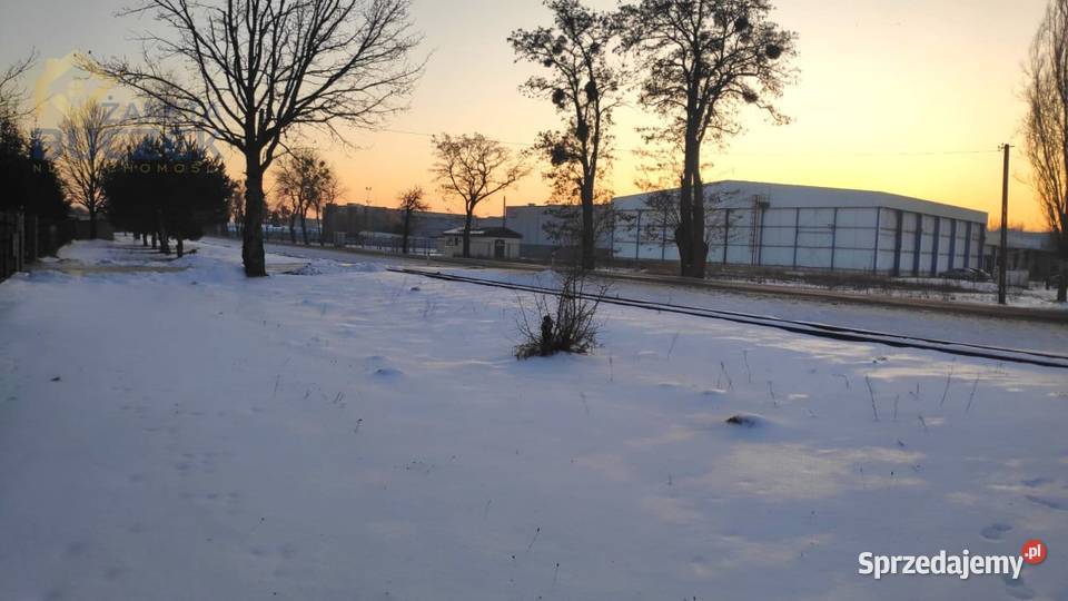 Sprzedam działkę inwestycyjną 482 ha w Brochowie Sprzedaż mazowieckie Brochów