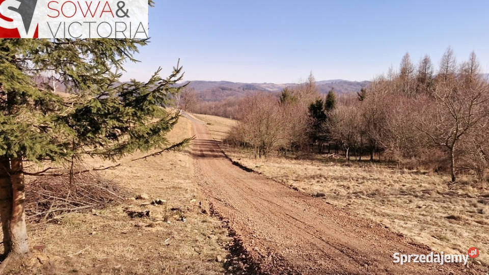 Panorama Góry Sowie asfalt Zagórze Śląskie