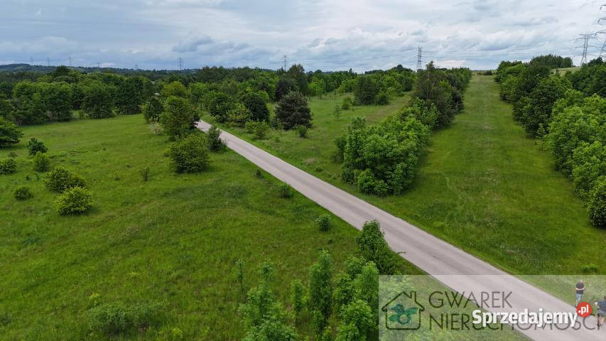 Działka 59500m2 Toporowice śląskie