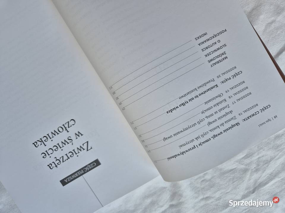 Mózg konia mózg człowieka małopolskie Brzesko