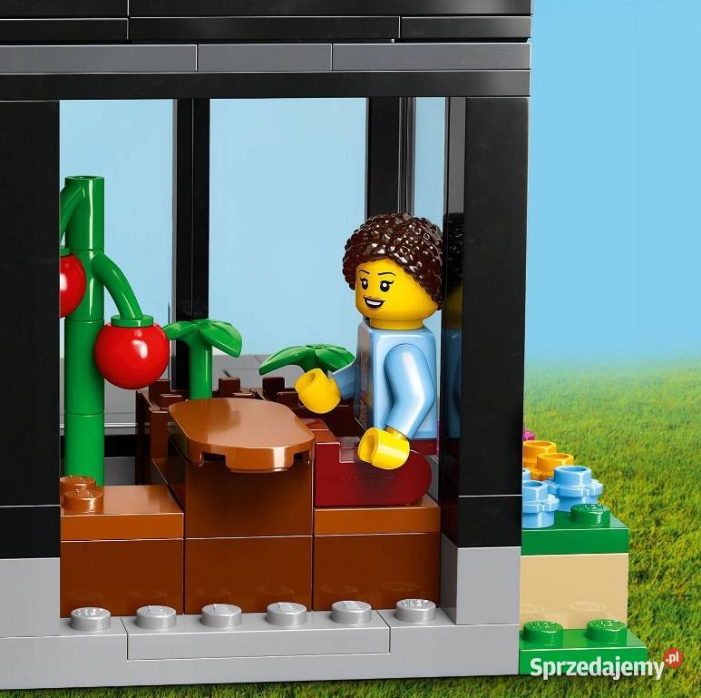 LEGO City Domek rodzinny i samochód 60398
