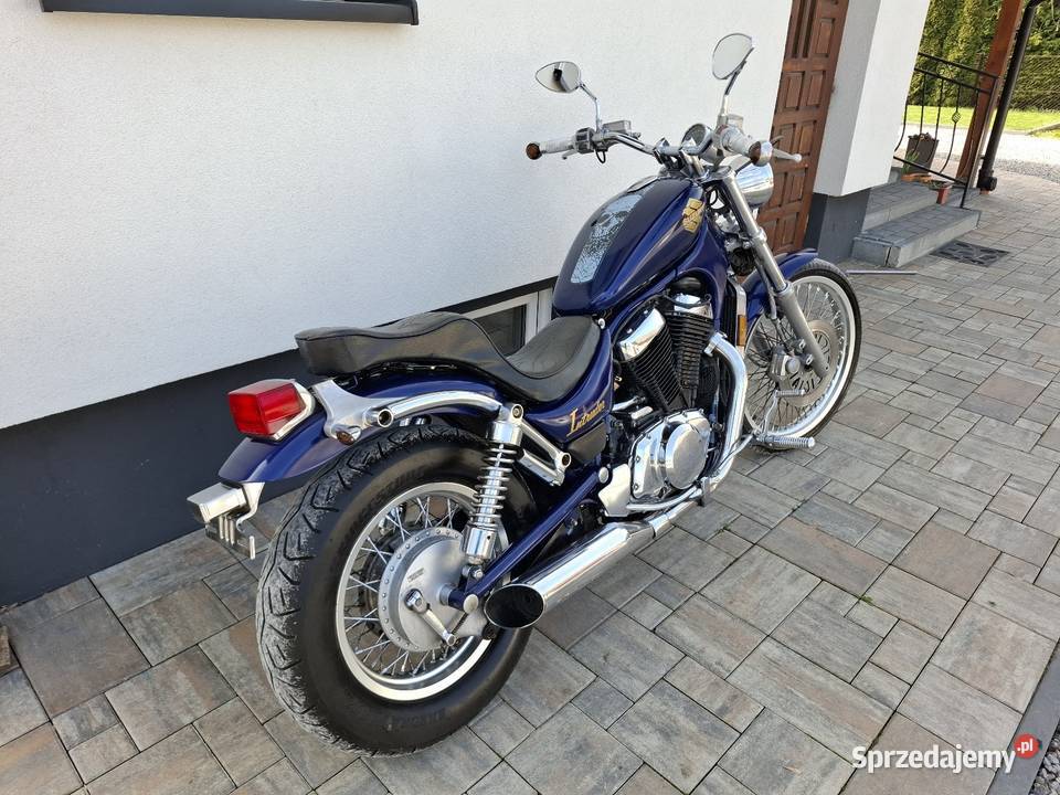 Suzuki vs 800 intruder 27 koni A2 519426269 Chobrzany