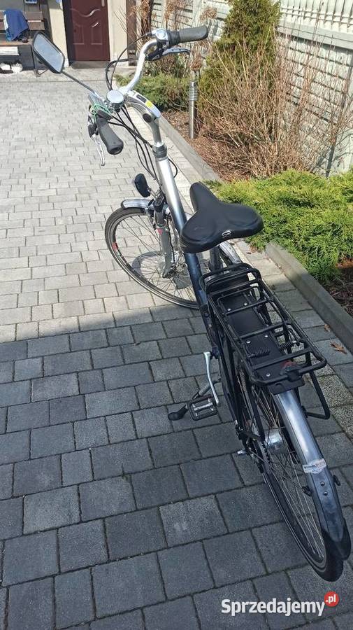 Holenderski rower ze wspomaganiem Pointer