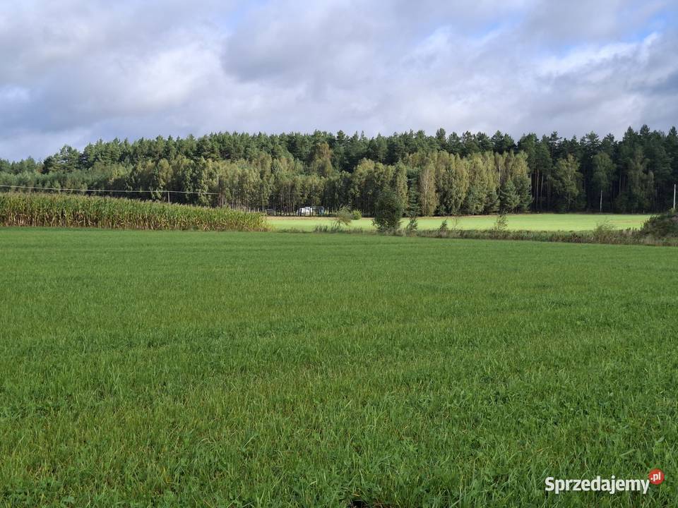 DZIAŁKA BUDOWLANA ŁĄŻEK KOŁO TLENIA BORY Łążek