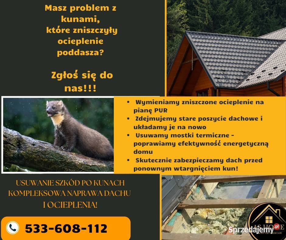 Więźby dachy montaż usługi ciesielsko dekarskie Usługi dekarskie Wadowice