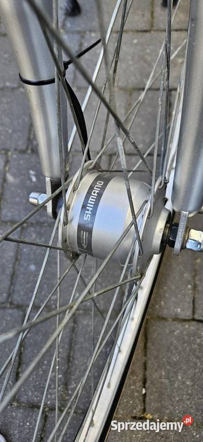 Pegasus NEXUS 7biegów prądnica w piaście