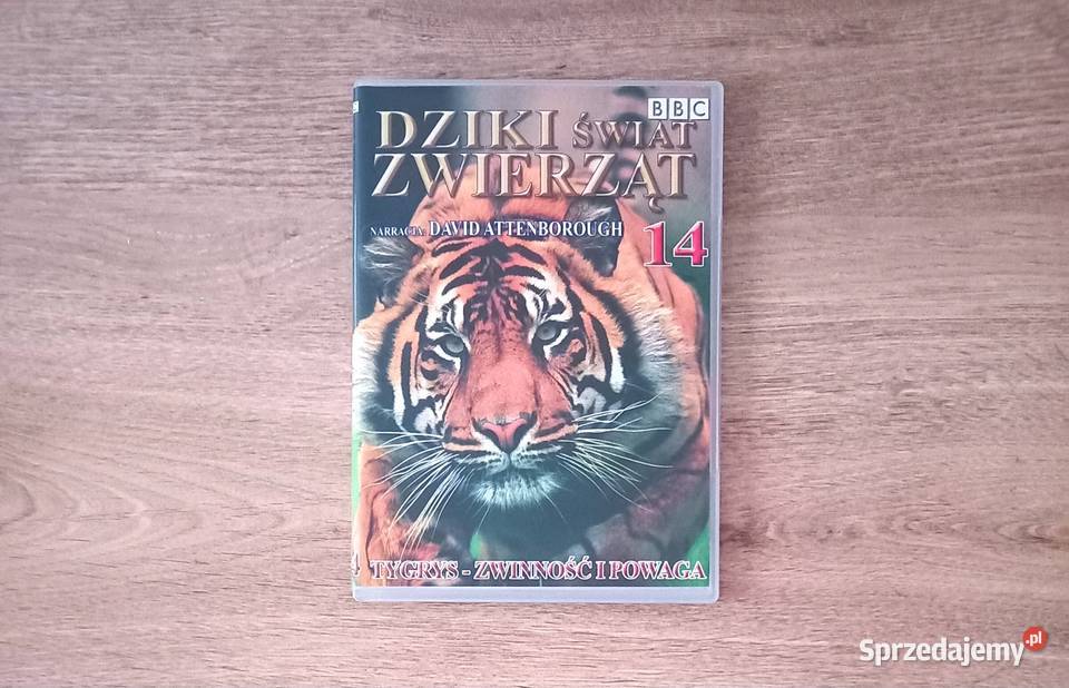 Edukacja Lew Orka i inne seria BBC Dziki świat