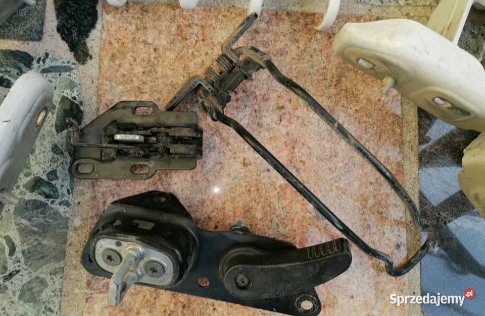 Zawias tylnych drzew scudo jumpi expert Części samochodowe Gorzów Wielkopolski