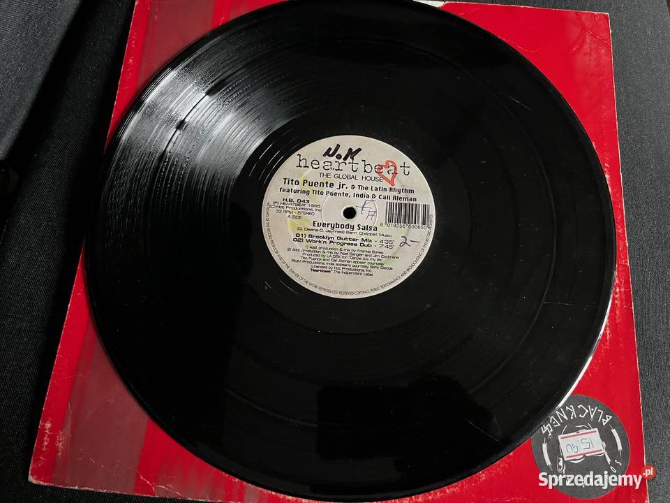Tito Puente Jr The Latin Rhythm Everybody Salsa śląskie