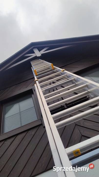 Usuwanie likwidacja szerszeni os i pszczół warmińsko-mazurskie