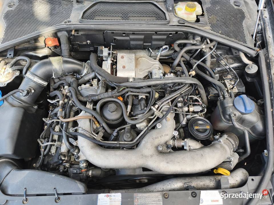 Pheyton 4/5 Zielona Góra sprzedam