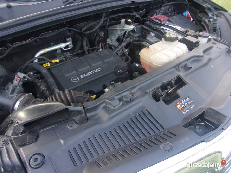 Piękna Mokka mazowieckie Radom