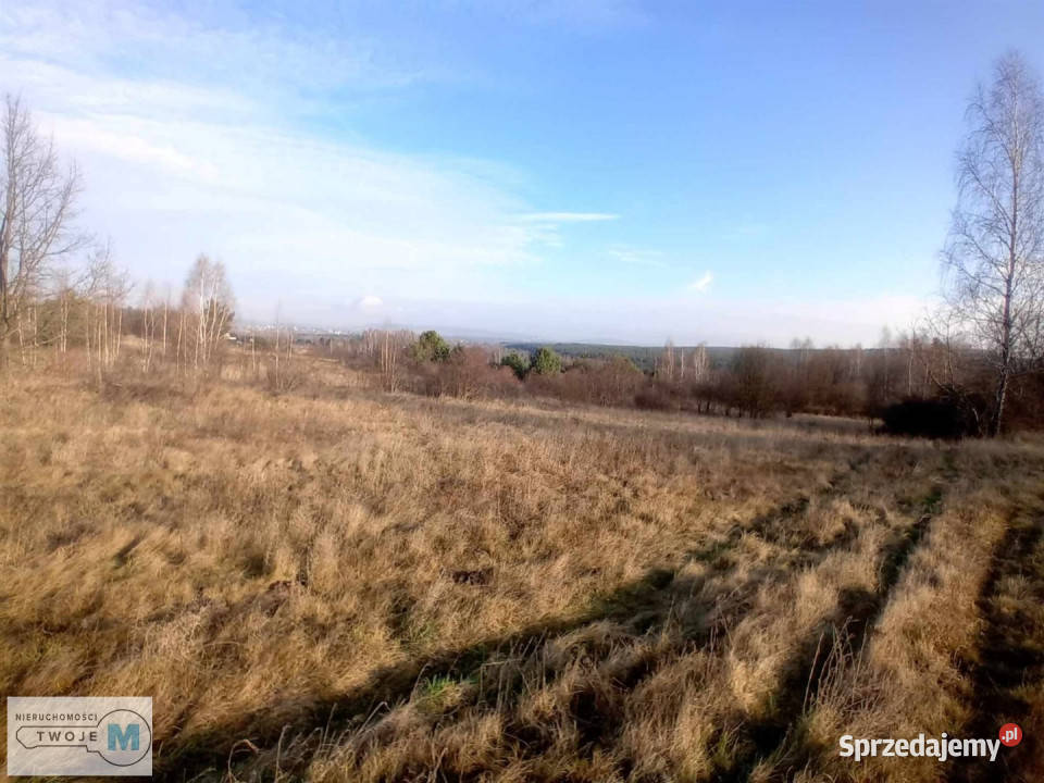 Działka Daleszyce 17841m2