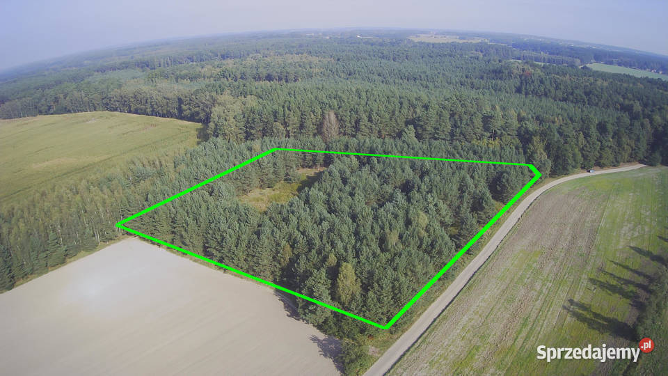 Działka z prywatnym lasem Wydane WZ i pozwolenie Nowa Róża