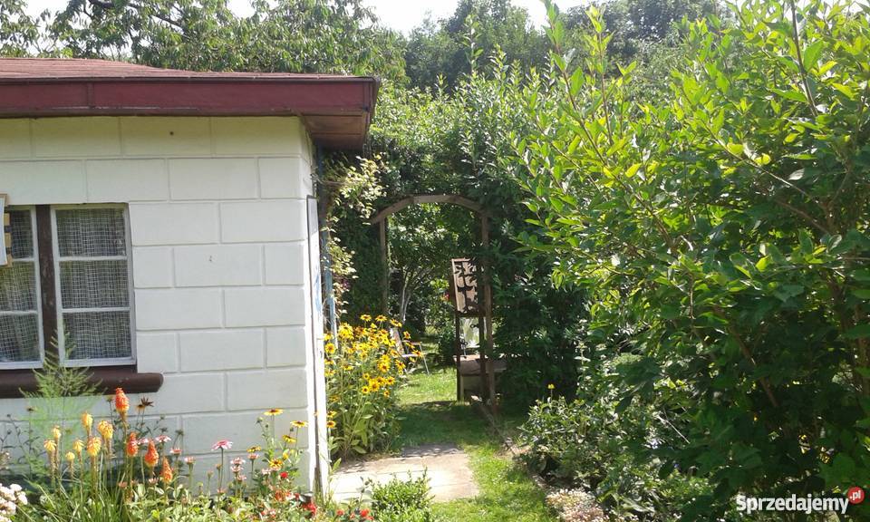 Działka rekreacyjna na ROD Skarbówek Szczecin sprzedam