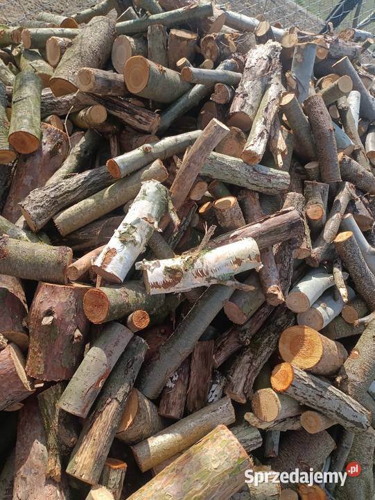 Drewno opałowe Iłża
