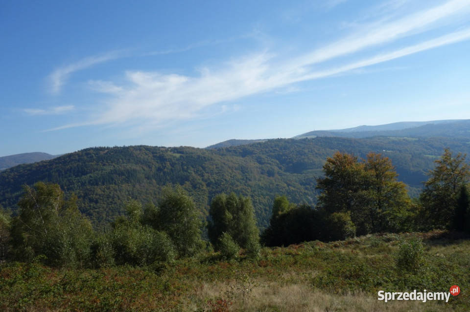 Brenna 253 ha działka inwestycyjna wyciągu Sprzedaż śląskie sprzedam
