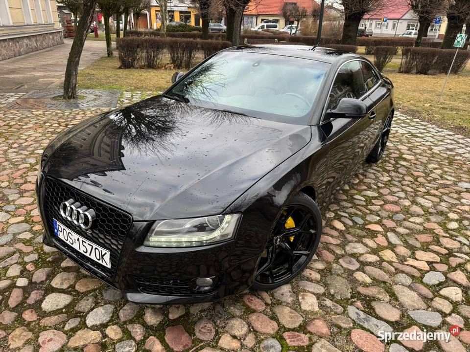 Audi A5 8T coupe 30 TDi quattro 2009r Ostrów Wielkopolski