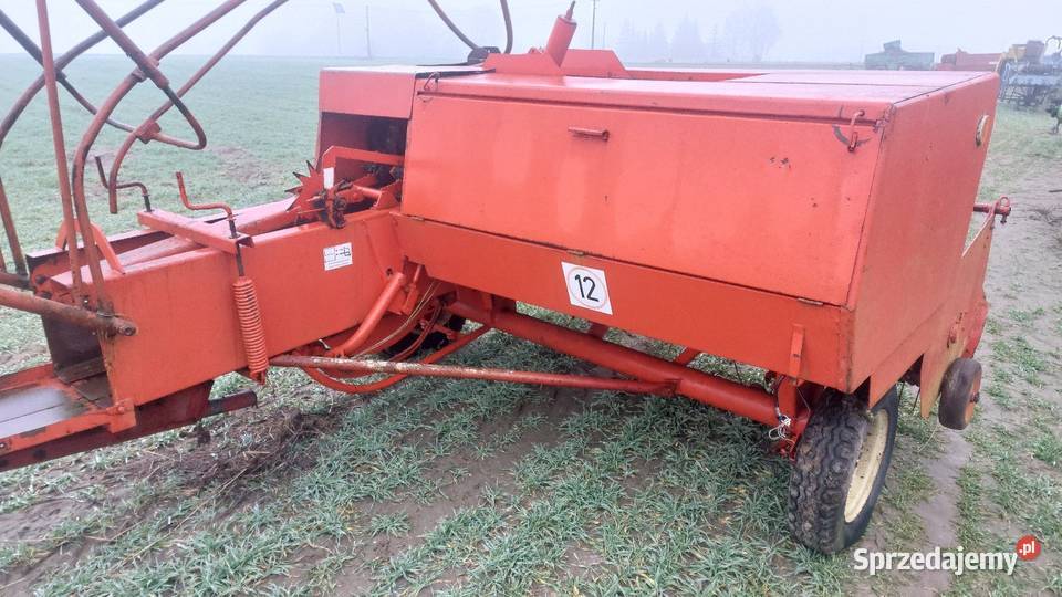 Prasa sipma Stara Kornica