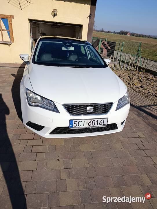Seat Leon 14TSI 125 Rudnik