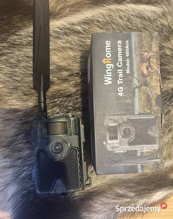 Fotopułapka winghome 480ace Pozostałe
