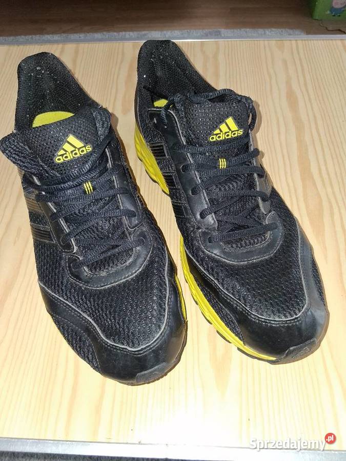 Buty sportowe wielkopolskie