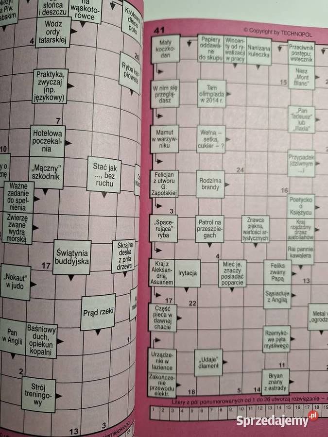 100 PANORAMICZNYCH Krzyżówek Częstochowa 52017 Warszawa