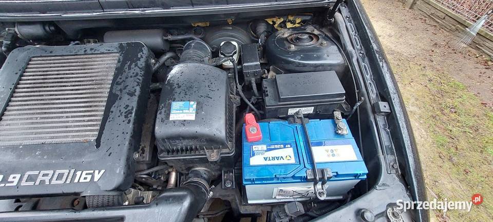 Kia carnival Łódź