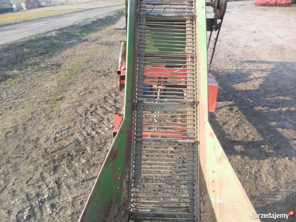 sortownik do ziemniaków cebulu remprodex Brodnica