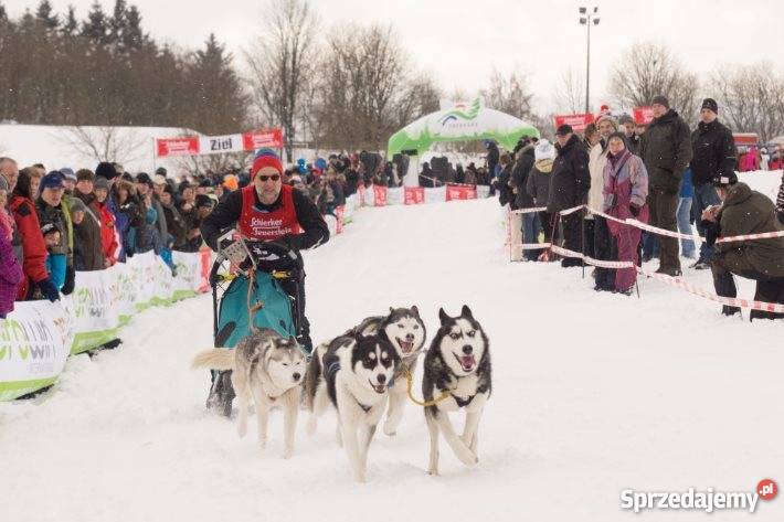 Balon reklamowy Choroszcz reklama