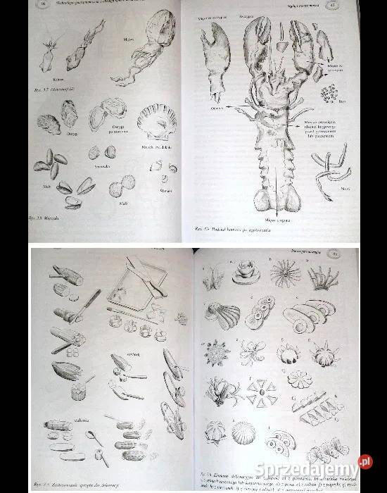 Technologia gastronomiczna z obsługą konsumenta lubelskie