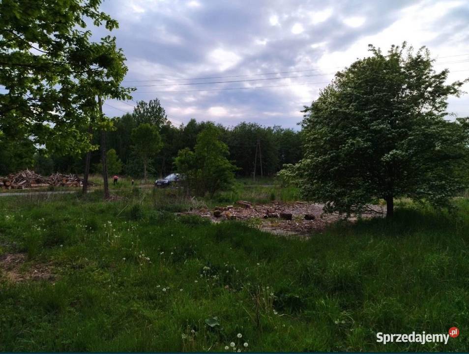 Działka z dostępem do mediów Możliwość zabudowy Wilczogóra