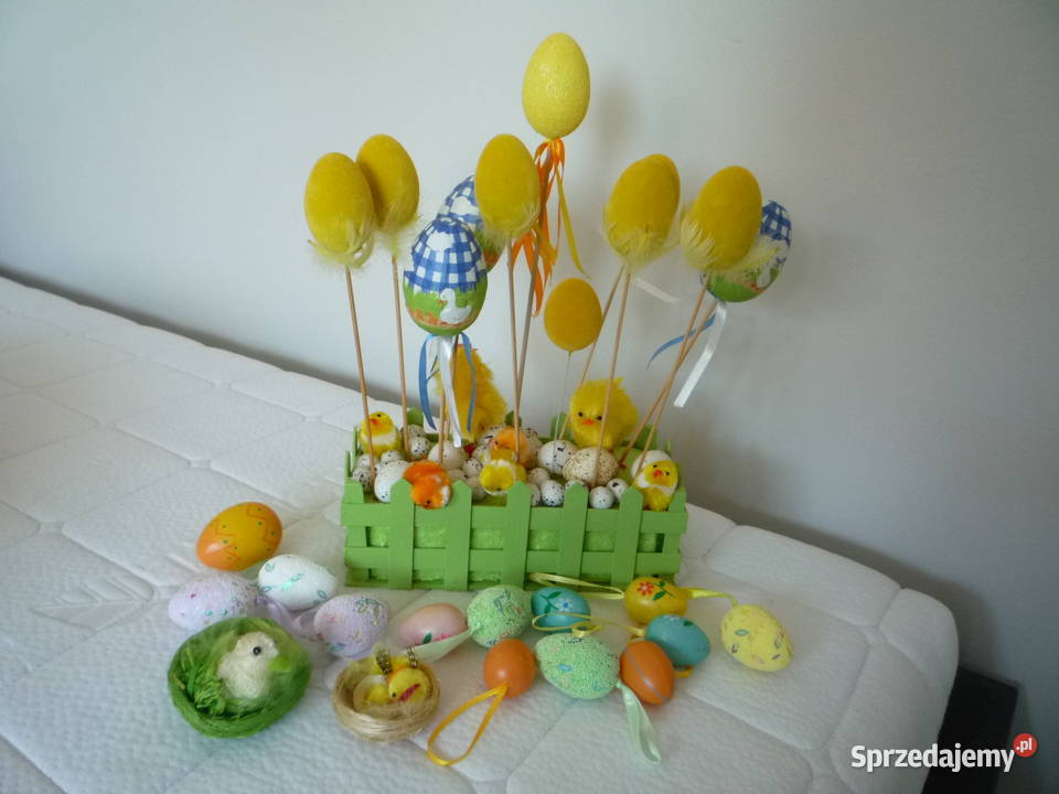 Wielkanoc Jajka Pisanki Kurczaki Kury Płotek Szczecin