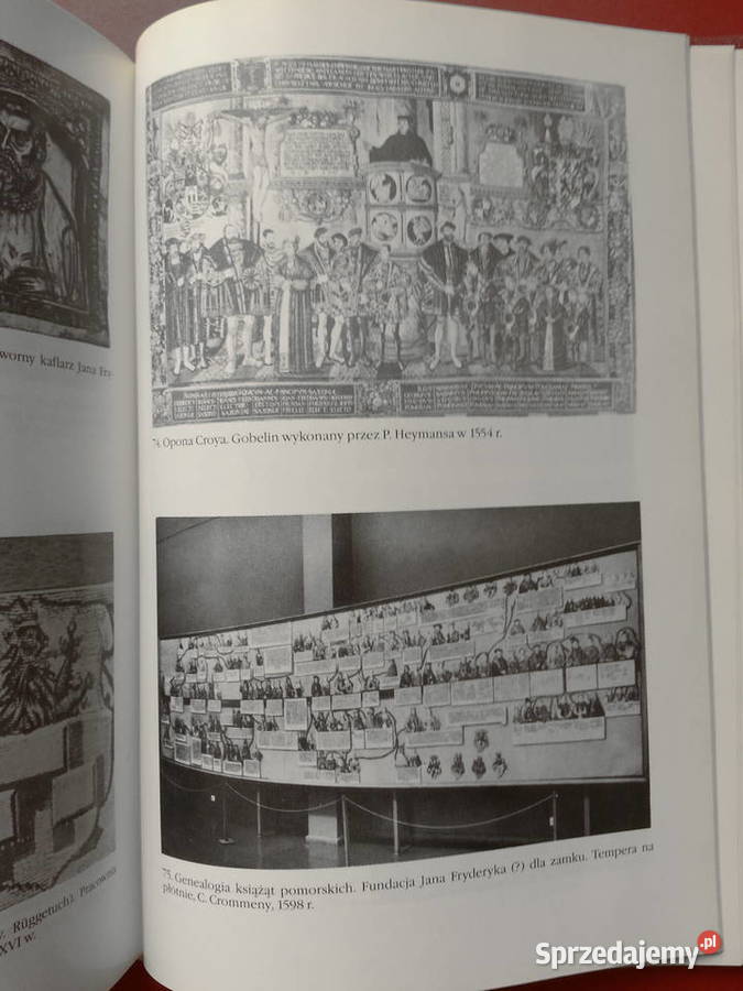 2974 Zamek Książęcy W Szczecinie Szczecin sprzedam