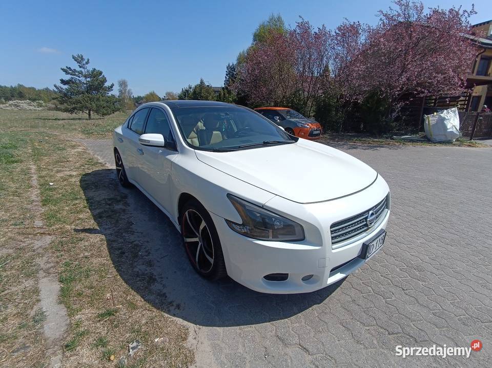 Nissan Maxima A35 wygodna limuzyna biała Motoryzacja Bydgoszcz