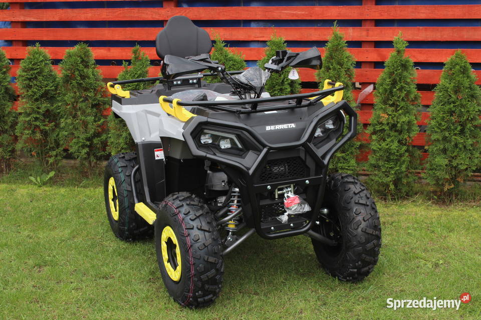 Quad 200 250 cc 4t Hammer Shinerau Bashan KXD Goleniów