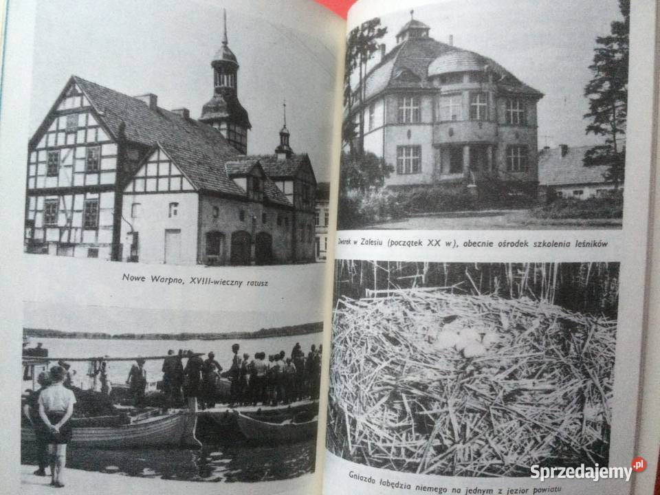 654 Powiat Szczeciński