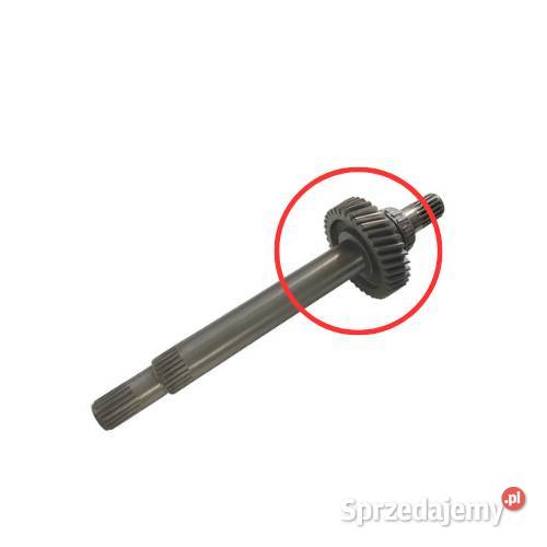 Sennebogen 290284 Koło zębate Gear do Poznań