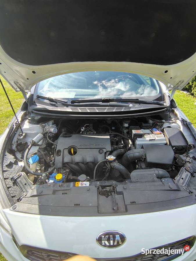kia ceed 2013 światła LED