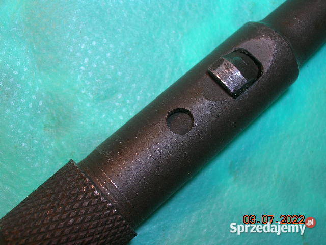 Bagnet francuski kolec Łódź