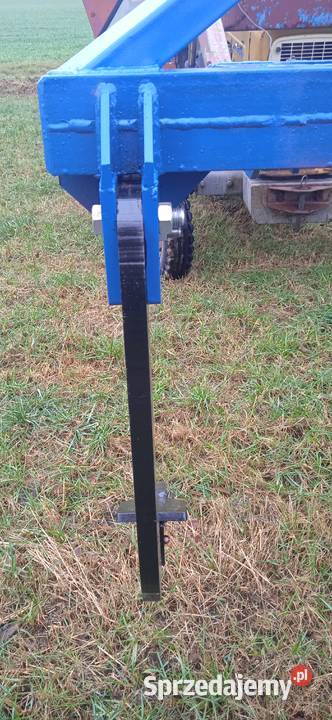 Głębosz nieuszkodzony Przasnysz