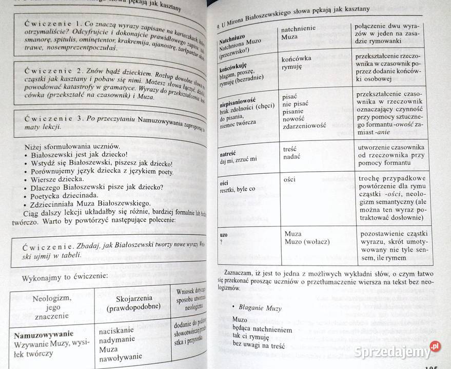 Scenariusze półwariackie Stanisław Bortnowski miękka Chełm sprzedam